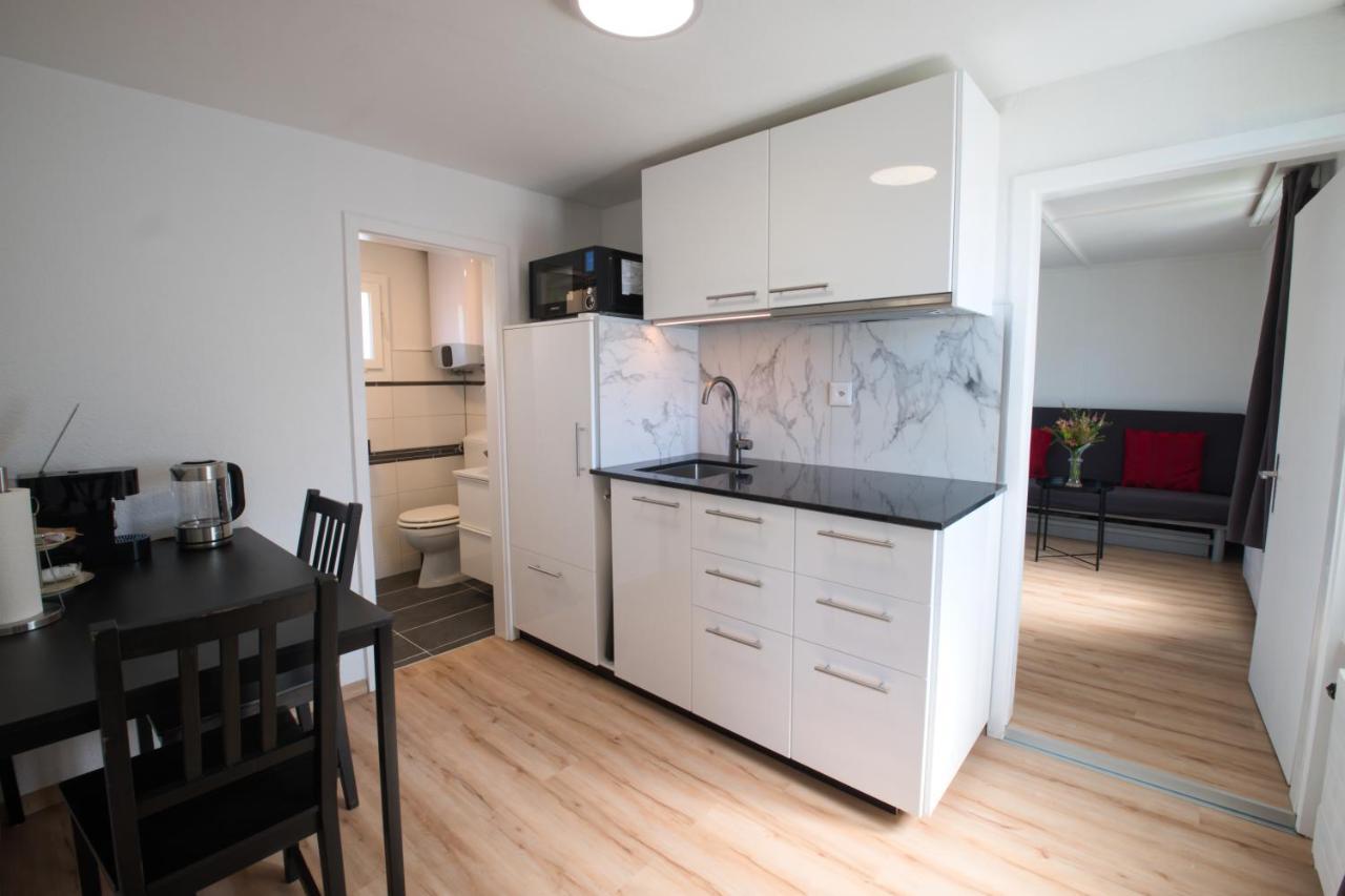 Lake Getaway Apartment With Private Entrance, Right On The Lake Constance Cycle Path, Barbecue Area, Free Wifi, Netflix And Free Bikes Salmsach Exteriér fotografie